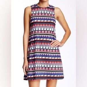 American Apparel Olivia Jersey Tank Dress
